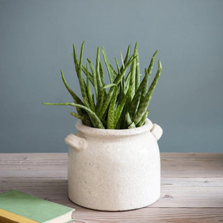 Ravello Ceramic Storage Pot