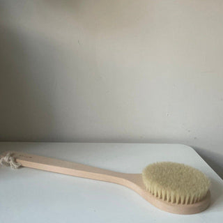 bath brush with long handle